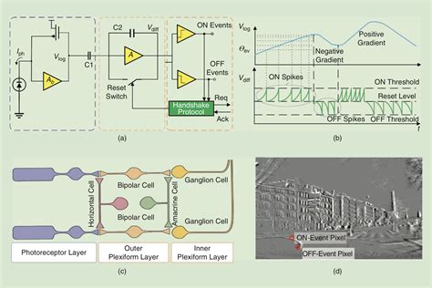 Neuromorphic Sensors Event-Based Cameras Replacing Rolling Shutters