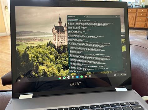 Chromebook App Hell Linux Container vs Android Compatibility Red Flags