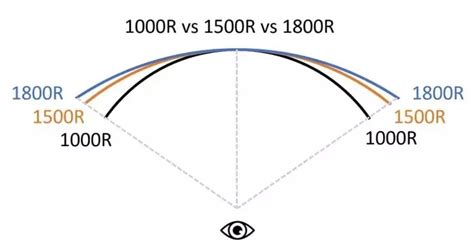 Monitor Curvature Guide 1000R vs 1500R Eye Adaptation Times